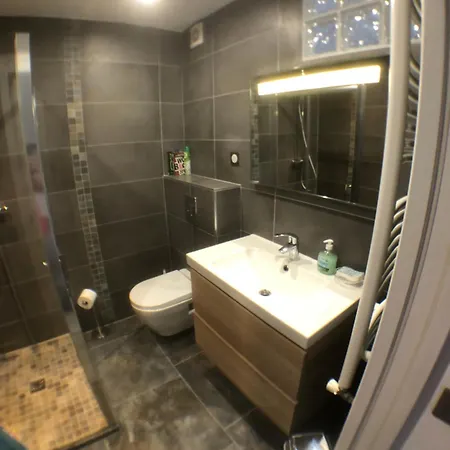 Coquet Avec Grande Terrasse *